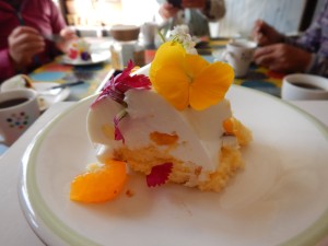 73280838_2546011098810274_8740202084504174592_o