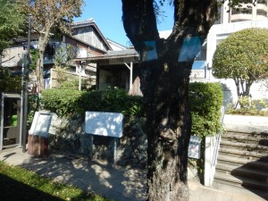 73361258_2150537228586182_6326714382965276672_n