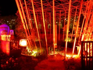 73513599_2541698595908191_6723309580018778112_n