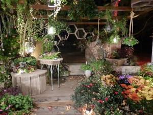 74168384_2541698972574820_5125225920751206400_n