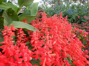 74231820_838227353246105_8011788176702046208_n