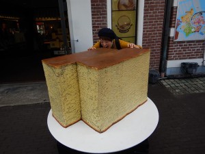 74242325_2541692192575498_4196678653058220032_n