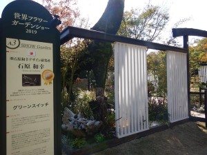 74337472_2541695465908504_2915516172386435072_n