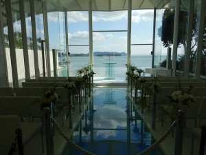 74389782_2541696609241723_5002388589070254080_n