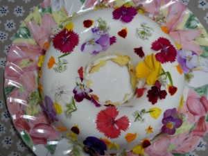 74398217_2546010502143667_7917566511307292672_o