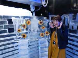 74536399_2541700722574645_4469599845916606464_n