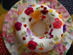 74582179_2546010795476971_2978546621341499392_o