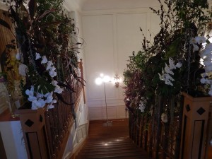 74611529_2541695695908481_4442516744220704768_n