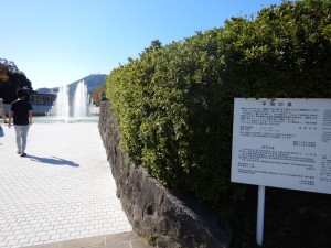 74677086_2433127123680165_8878886952154169344_n