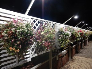 74696582_2541698492574868_5511122770882199552_n