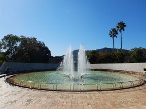 74798659_2183943878576343_6841546177091993600_n