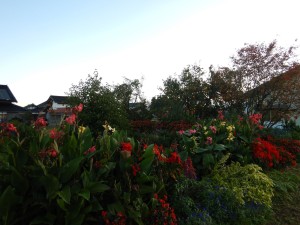 74903114_2519238498123199_5797771598341603328_n