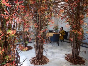 75146356_2541696525908398_3162343166883921920_n