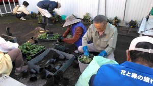 75226516_2478061069096441_345013279778668544_n