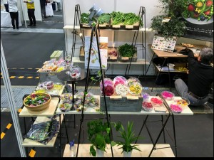 75339436_556780008450161_5823838729818603520_n