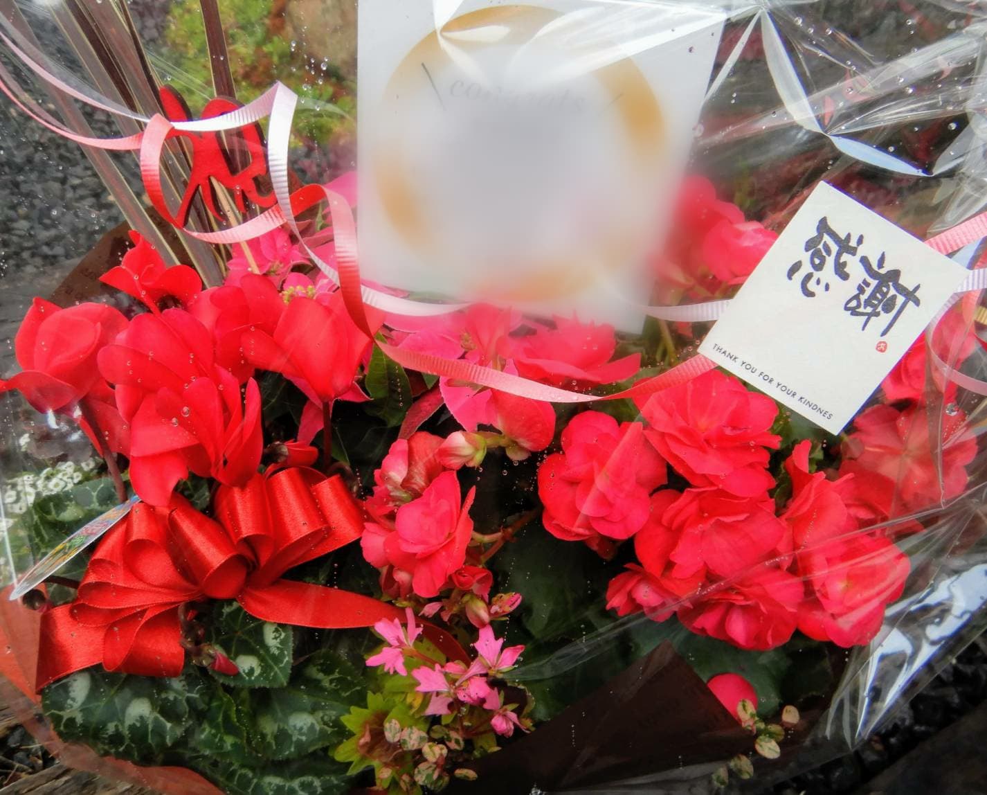 フラワーンダフルバスケット続々☆