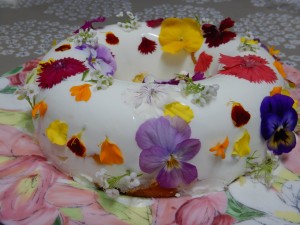 75388305_2546010508810333_1662700995559292928_o