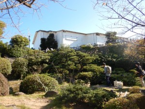 75473969_420162835600491_6156955499943165952_n