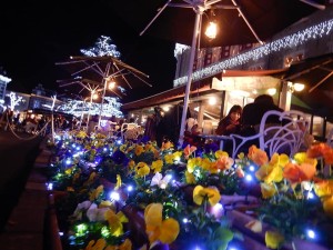 75496015_2539567066121344_6974379181865959424_n