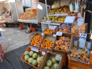 75553096_2605552246339399_268686904860344320_n