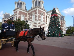 75603888_2541692115908839_1990185757888741376_n