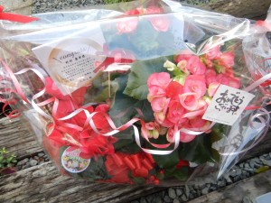 75627283_2475624002764027_8973616952698208256_n