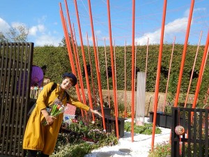 76183109_2541693619242022_7162609864529674240_n