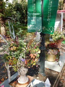 76199275_2541693259242058_8908838142816026624_n