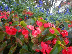 76615061_427724408143377_6147555744972537856_n