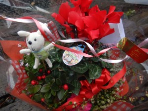 76679405_2492920064326989_3864537867007033344_n