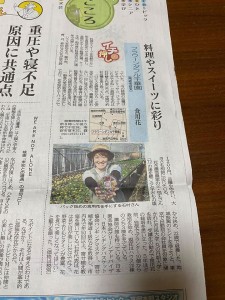 76762621_2575158959227699_6435129008307830784_o