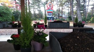 77002178_2565480610196656_5235245798710575104_n