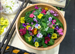 77003510_1736211009847800_7226179602463326208_n