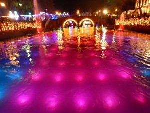 77135455_2539566666121384_7788748124134047744_n