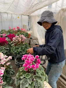 77403208_1129307007273206_8137744354719563776_n