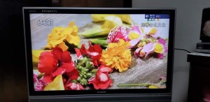 78093955_559111828247558_8666716190502027264_n