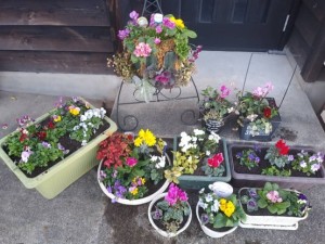 72851377_751777982003907_2277801562875101184_n