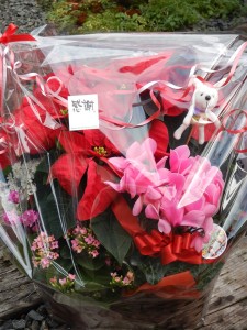 74382783_2549944385059397_7751166722207383552_n