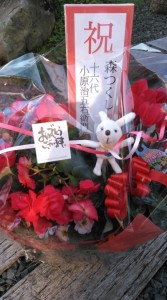 74651336_463318564303625_552895641139806208_n