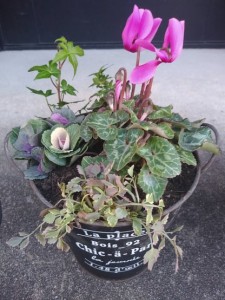 76180168_3578159688876003_5466876992756383744_n