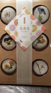 76201911_665160217345344_6202409259095818240_n