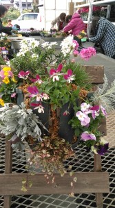 77088853_454843771888825_4737540448669663232_n