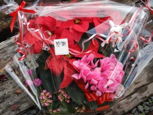 77114866_2434924446728328_8900802645552267264_n