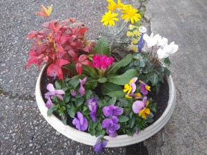 77350060_2354952198151214_490259998463492096_n