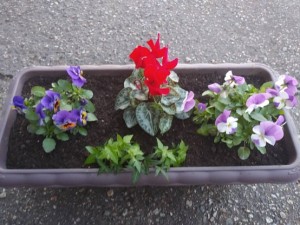 77363485_545603569331016_5850174292456636416_n