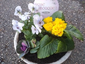 77368341_2488861538038382_1311047047800946688_n