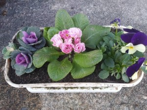 77383988_441040143172056_3687655737774833664_n