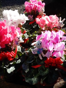 78105686_842556186177596_2113822017911259136_n