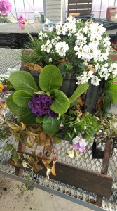 78300691_1720580354745886_7356393261302284288_n