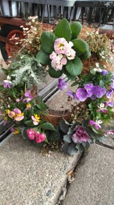 78315846_513522166041717_952361027398270976_n